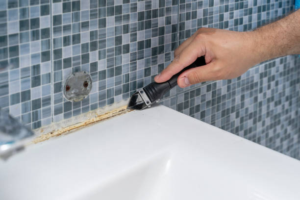 Best Mold Damage Repair  in Mill Creek, WA