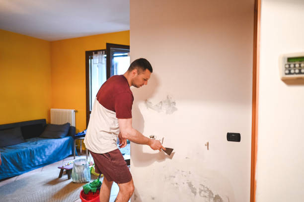 Best Water Damage Restoration  in Mill Creek, WA